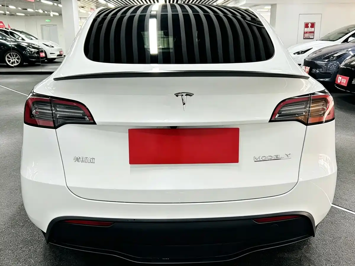 Tesla Model Y 2024 Performance фото 5