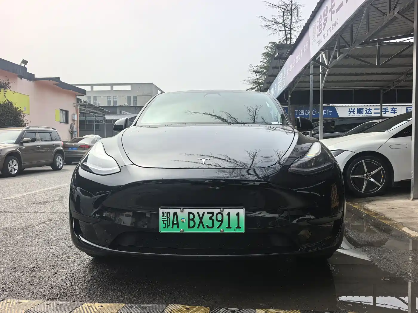 TESLA MODEL Y