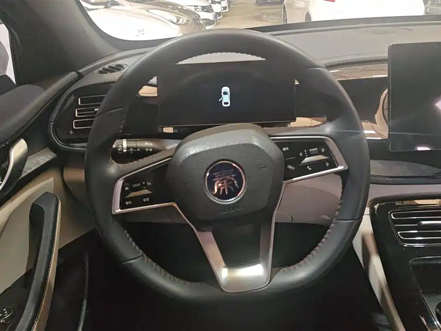BYD Qin PLUS 2023 Champion Edition DM-i 55KM Leading фото 15