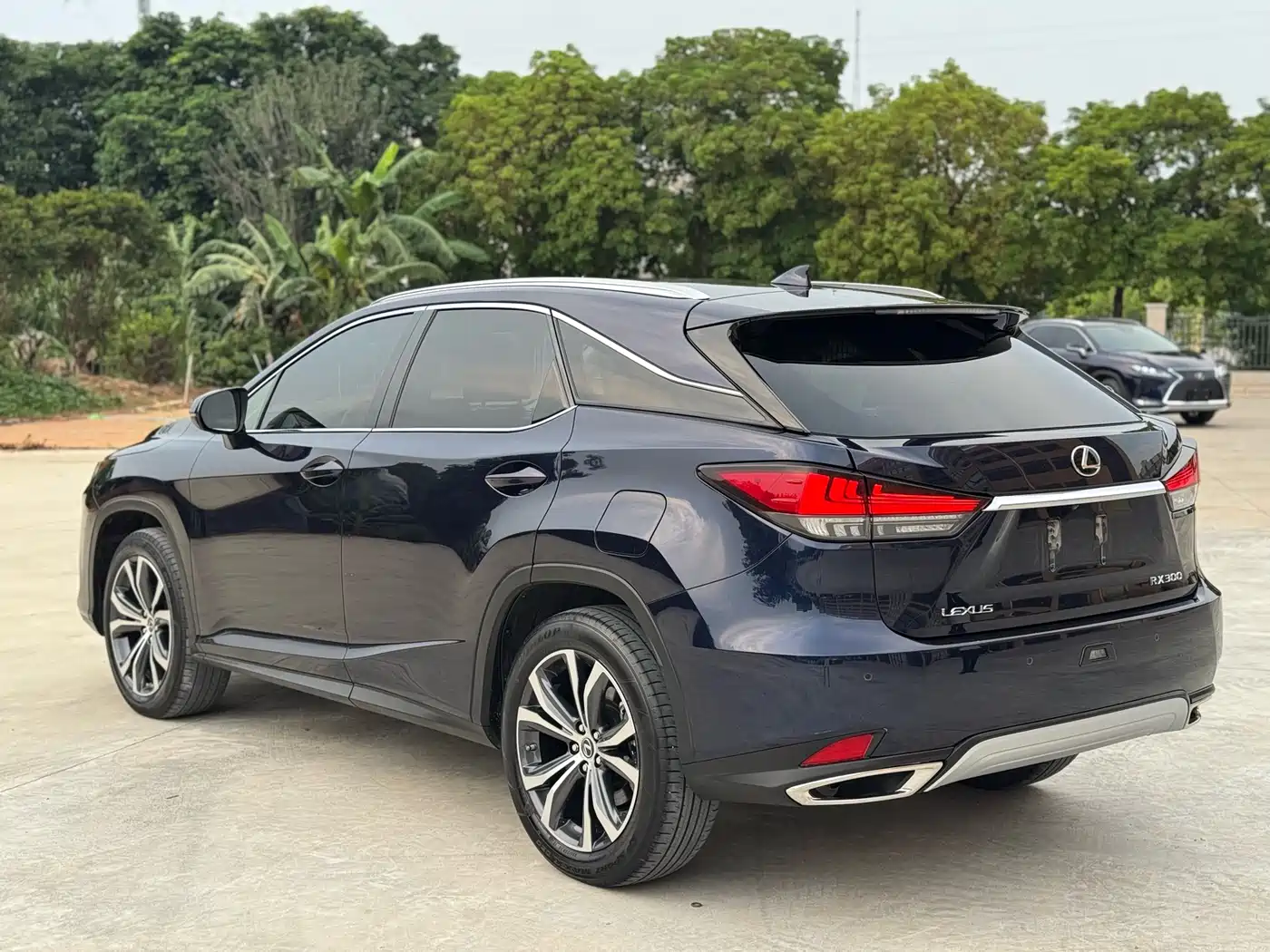 Lexus RX 2020 Facelift 300 AWD Elegance Edition фото 8
