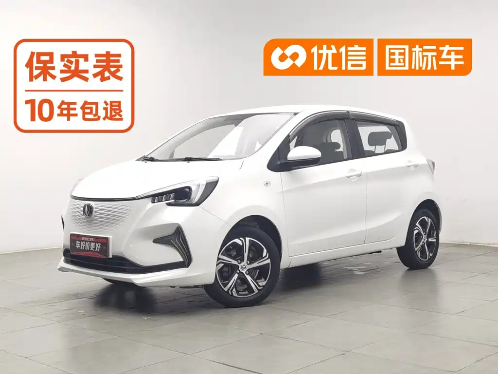 Changan Benben E-Star 2021 2020 Heartjoy Edition NCM