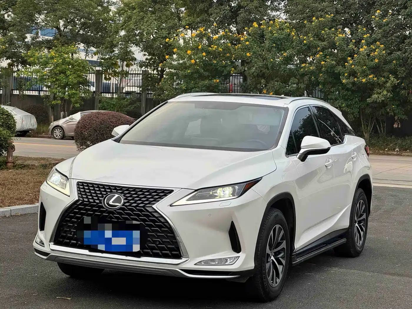 Lexus RX 2020 Facelift 300 2WD Elite Edition фото 3