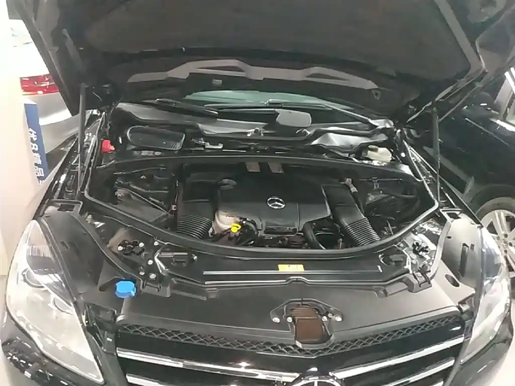 Mercedes-Benz R-Class 2015 R 320 4MATIC Luxury фото 20