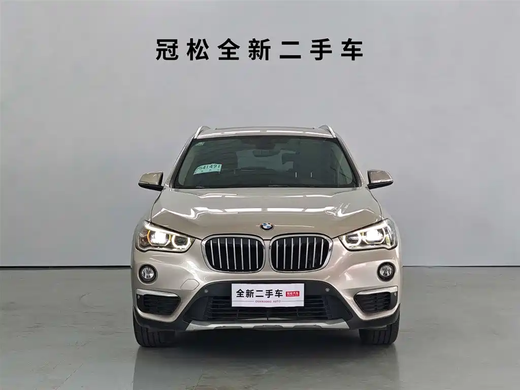 BMW X1 2019 xDrive20Li Luxury Model фото 2