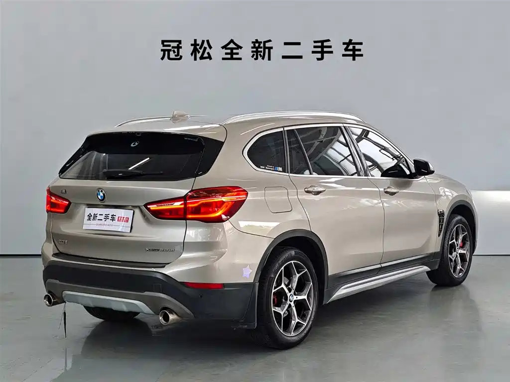 BMW X1 2019 xDrive20Li Luxury Model фото 4