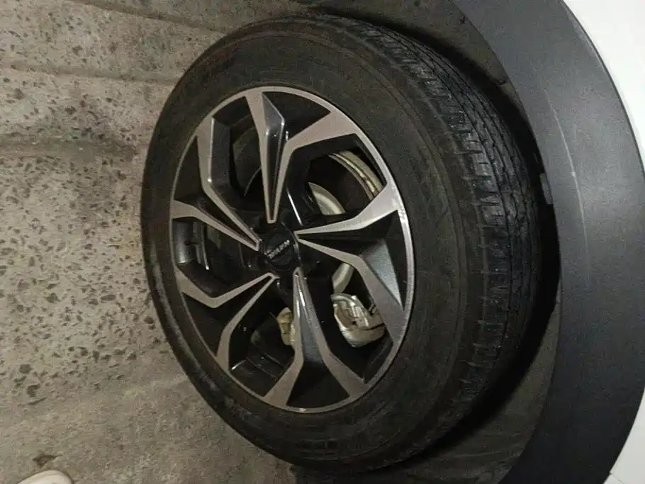 Haval Shenshou 2021 2022 1.5T Smart Enjoyment Edition