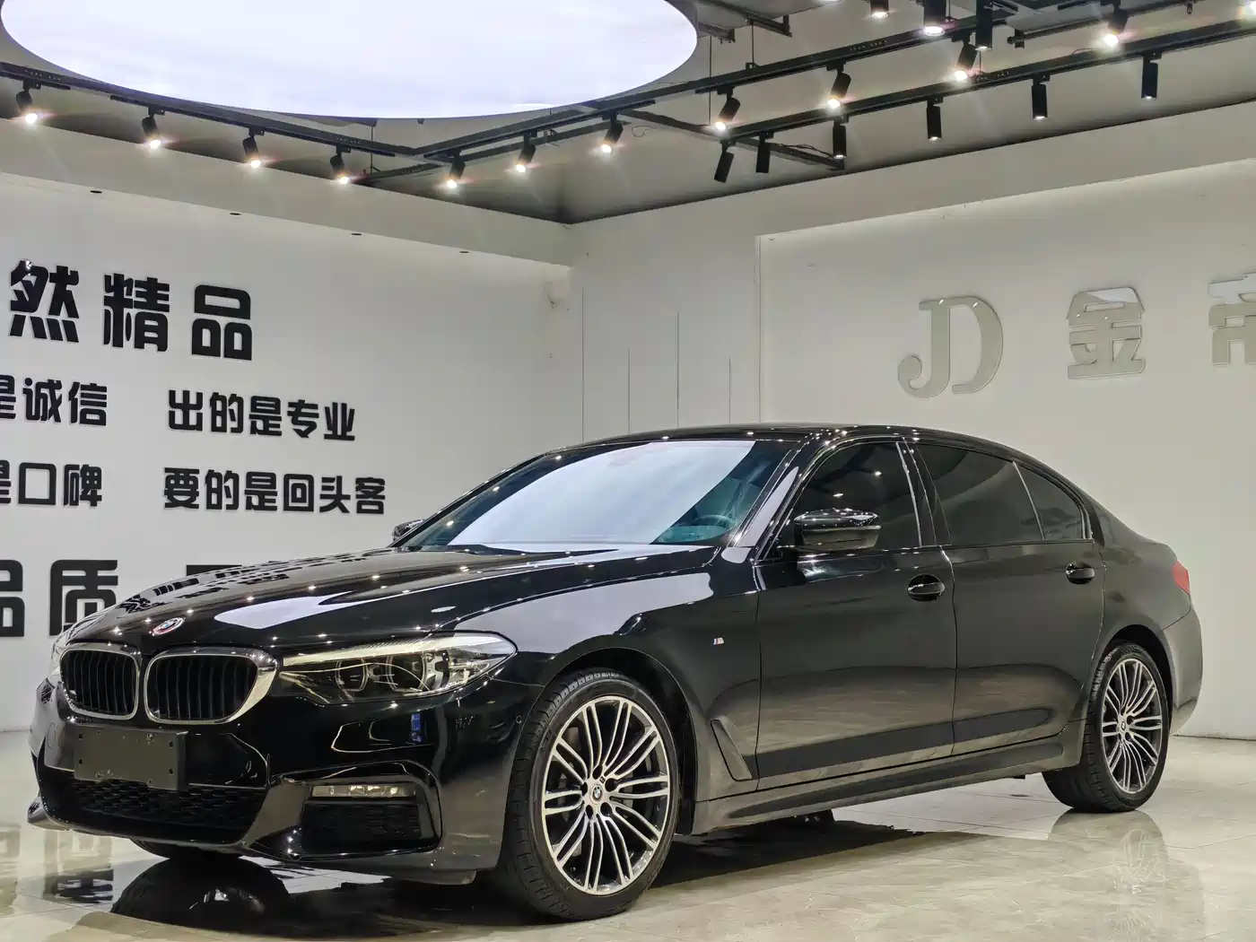 BMW 5 Series 2019 530Li Leading M Sport Package