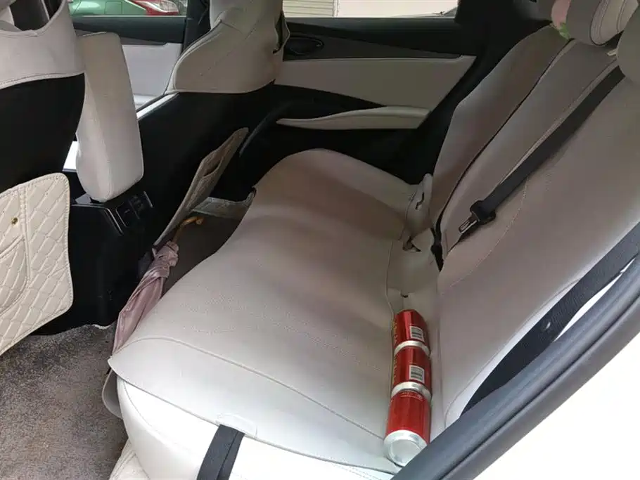 BYD Seal 06 New Energy 2024 DM-i 80KM Prestige фото 11