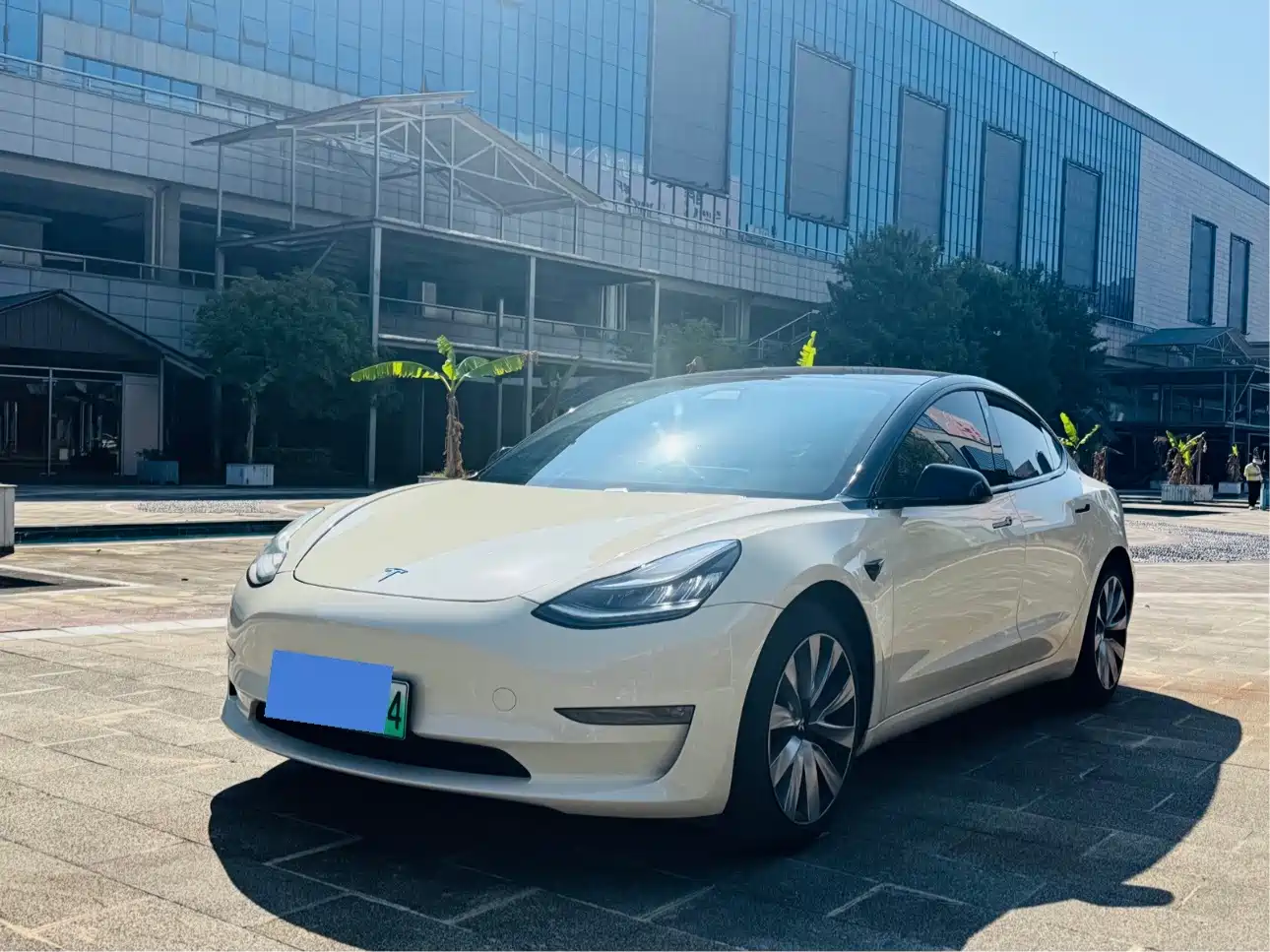 Tesla Model 3 (Import) 2019 2019 Long Range RWD Version