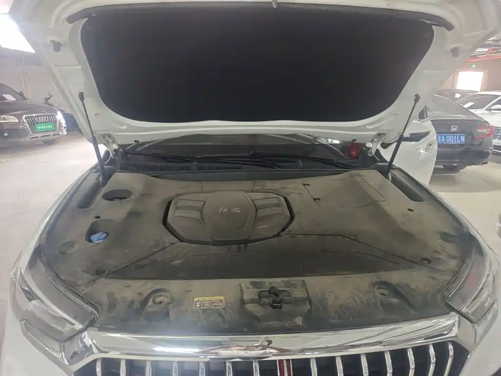 Hongqi HS5 2020 2019 2.0T Smart Connect Enjoy Edition