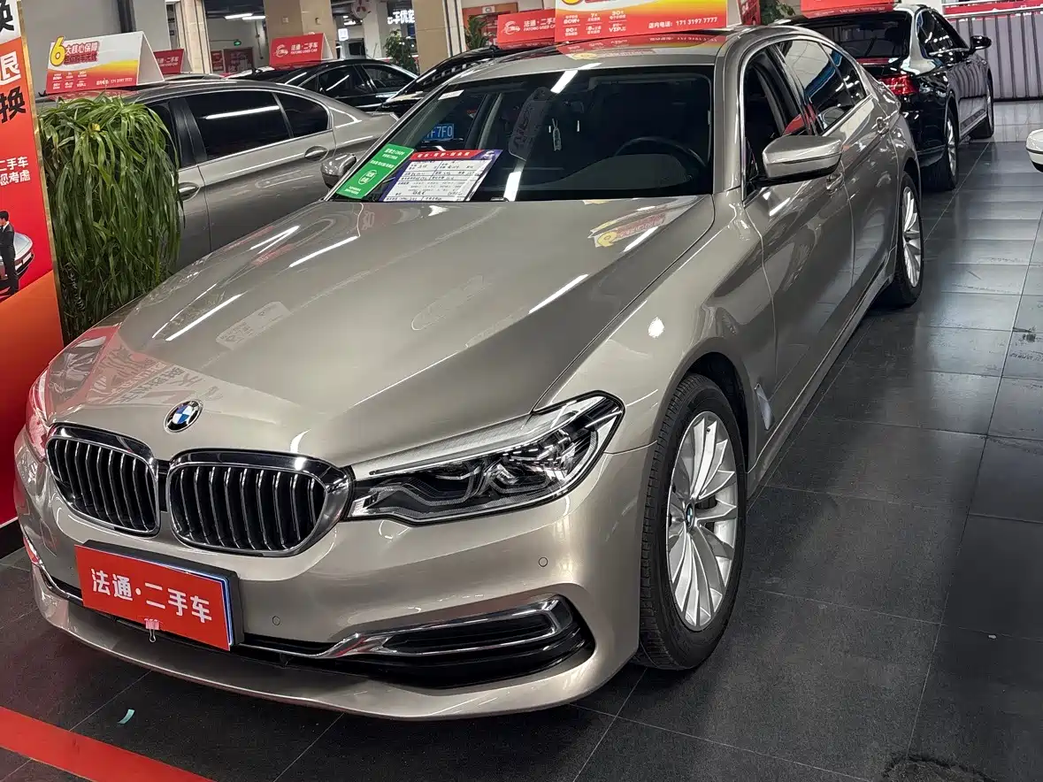 BMW 5 Series 2020 530Li xDrive Luxury Package