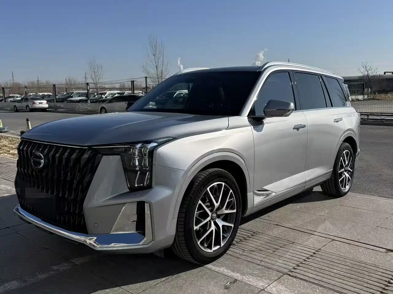 GAC Trumpchi Trumpchi GS8 2022 Dual Engine Series 2.0TM 2WD Premium Edition (7-Seater) фото 3