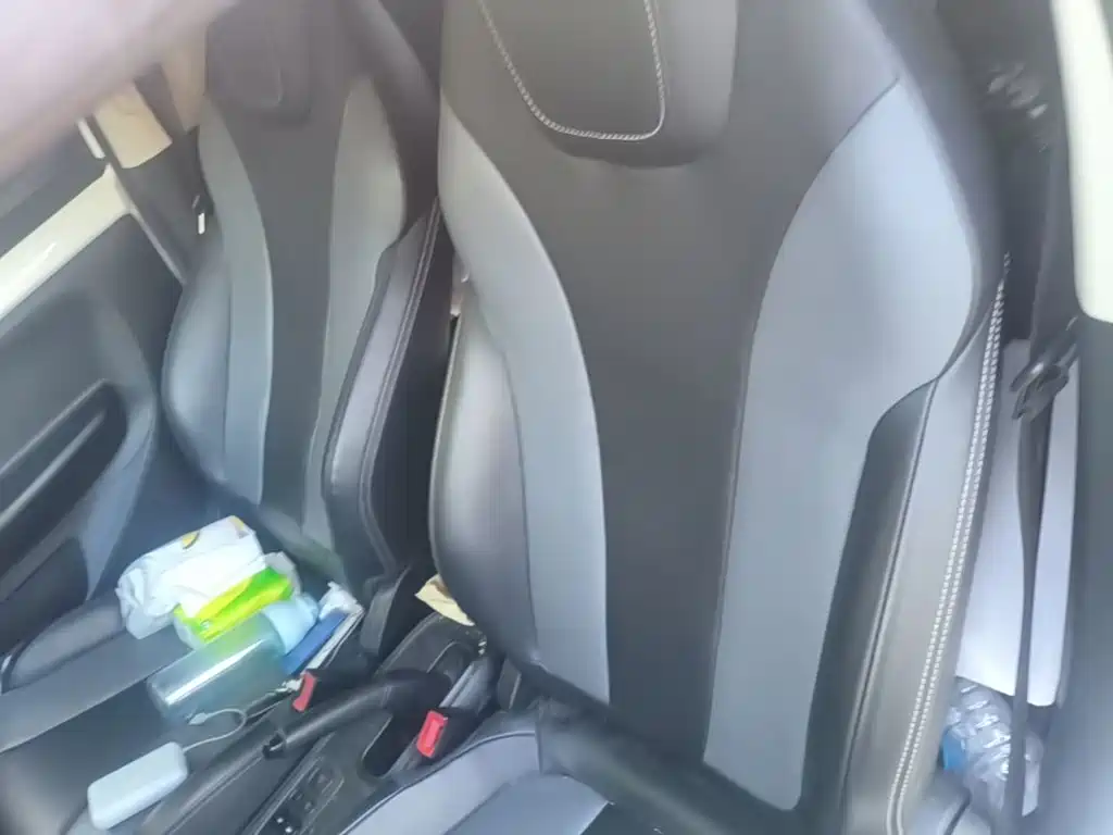 Roewe Kaiwei CLEVER 2023 2022 311km Vitality Bobo Edition