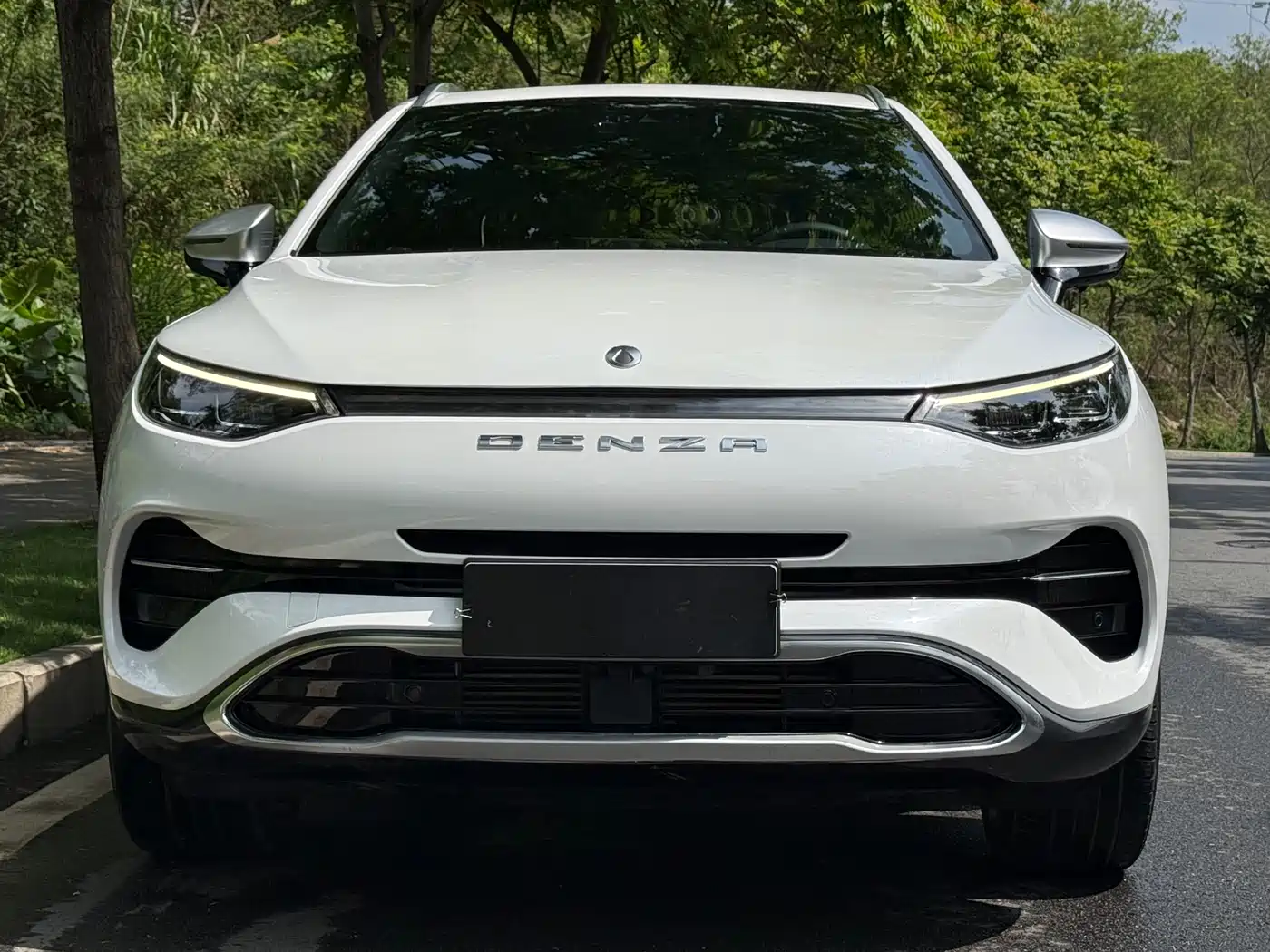 Denza X 2020 Model PHEV Flagship Edition фото 2