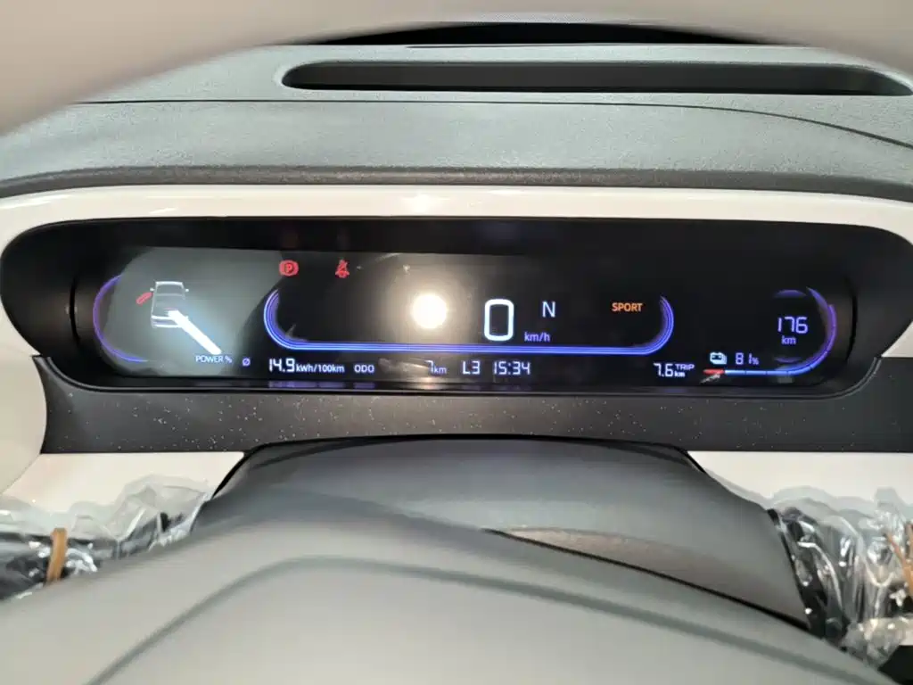 Geely Galaxy Panda 2026 2025 Panda mini 210km Vitality Bear