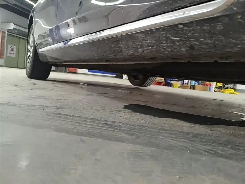 Hongqi H5 2024 2.0T Automatic Smart Connect Flag Smooth Edition фото 21