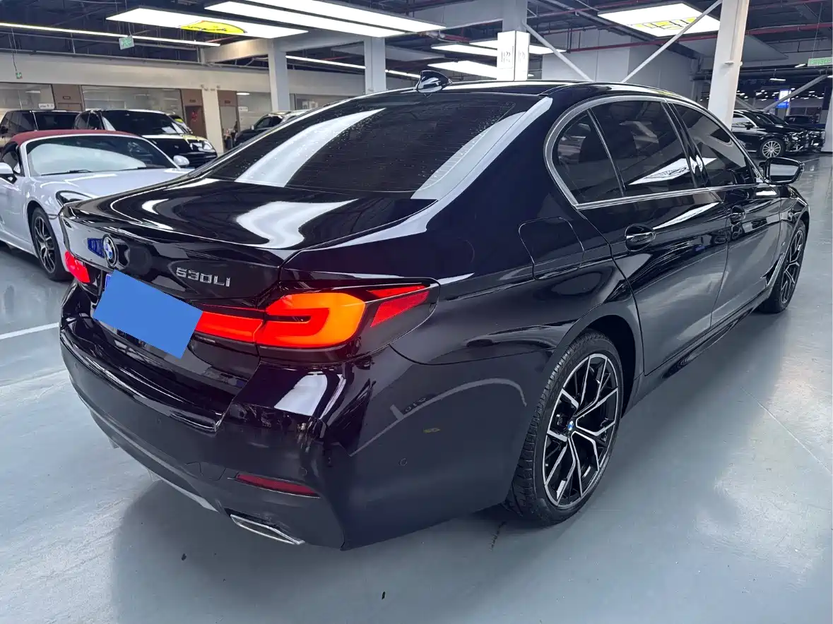 BMW 5 Series 2021 530Li Premium M Sport Package фото 21