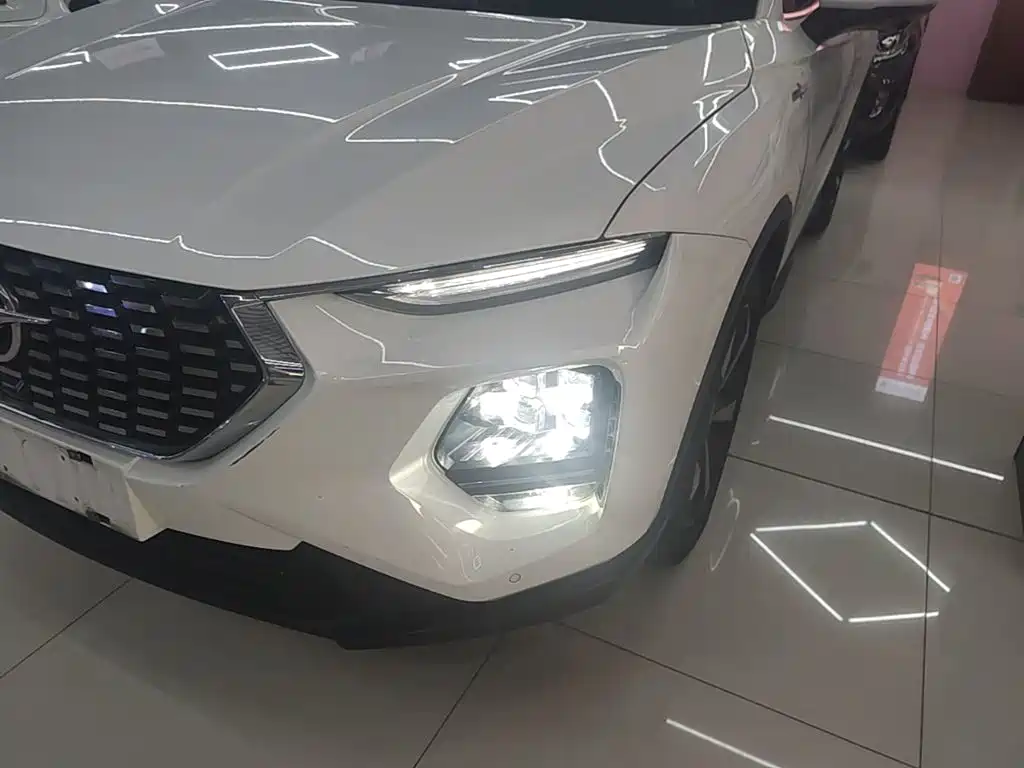 Haima 8S 2020 2020 1.6TGDI Automatic Flagship