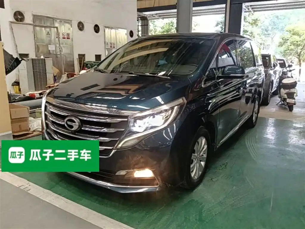 GAC Trumpchi Trumpchi M8 2018 320T Exclusive Edition фото 2