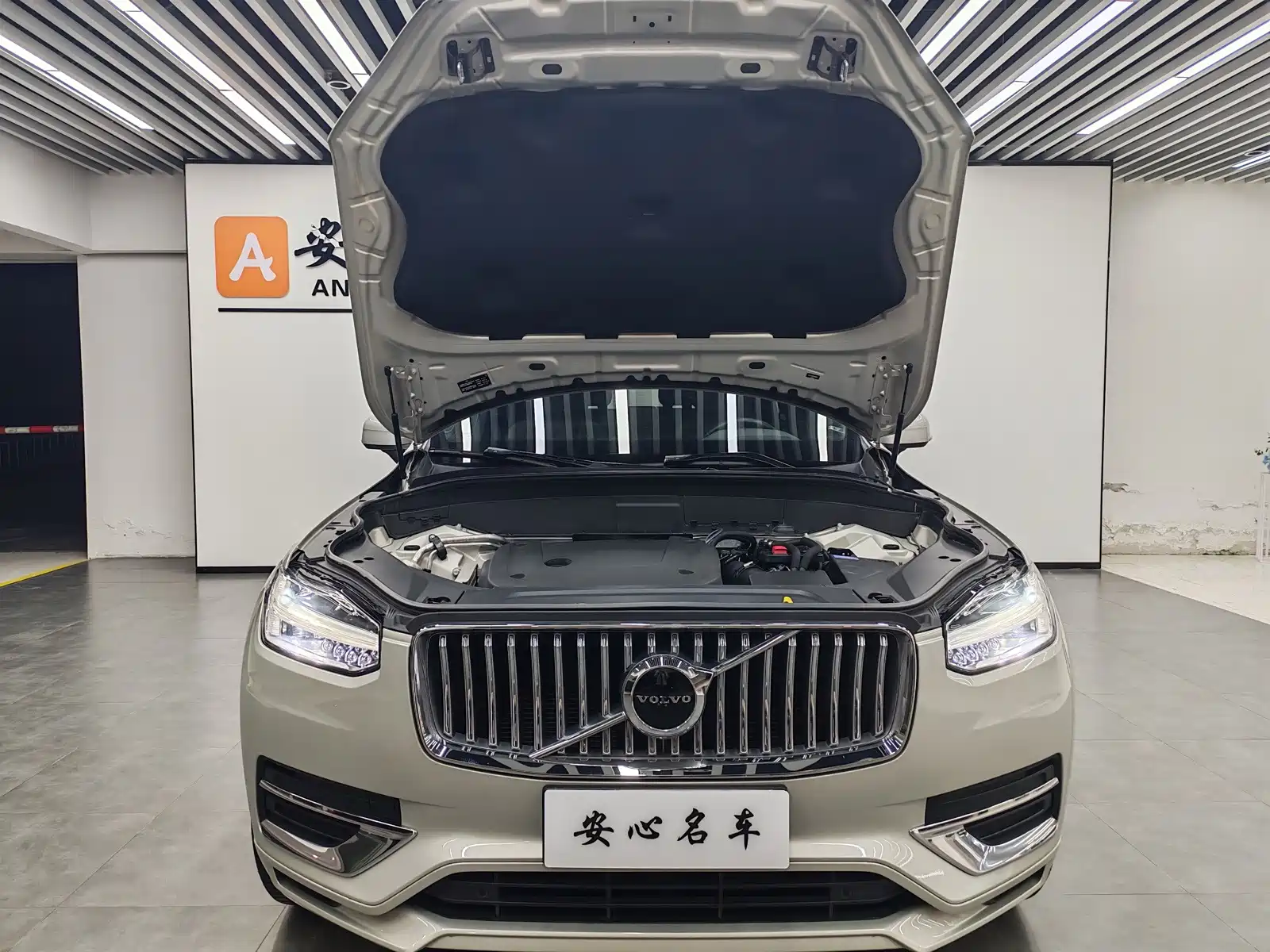 Фото 11 - Volvo XC90