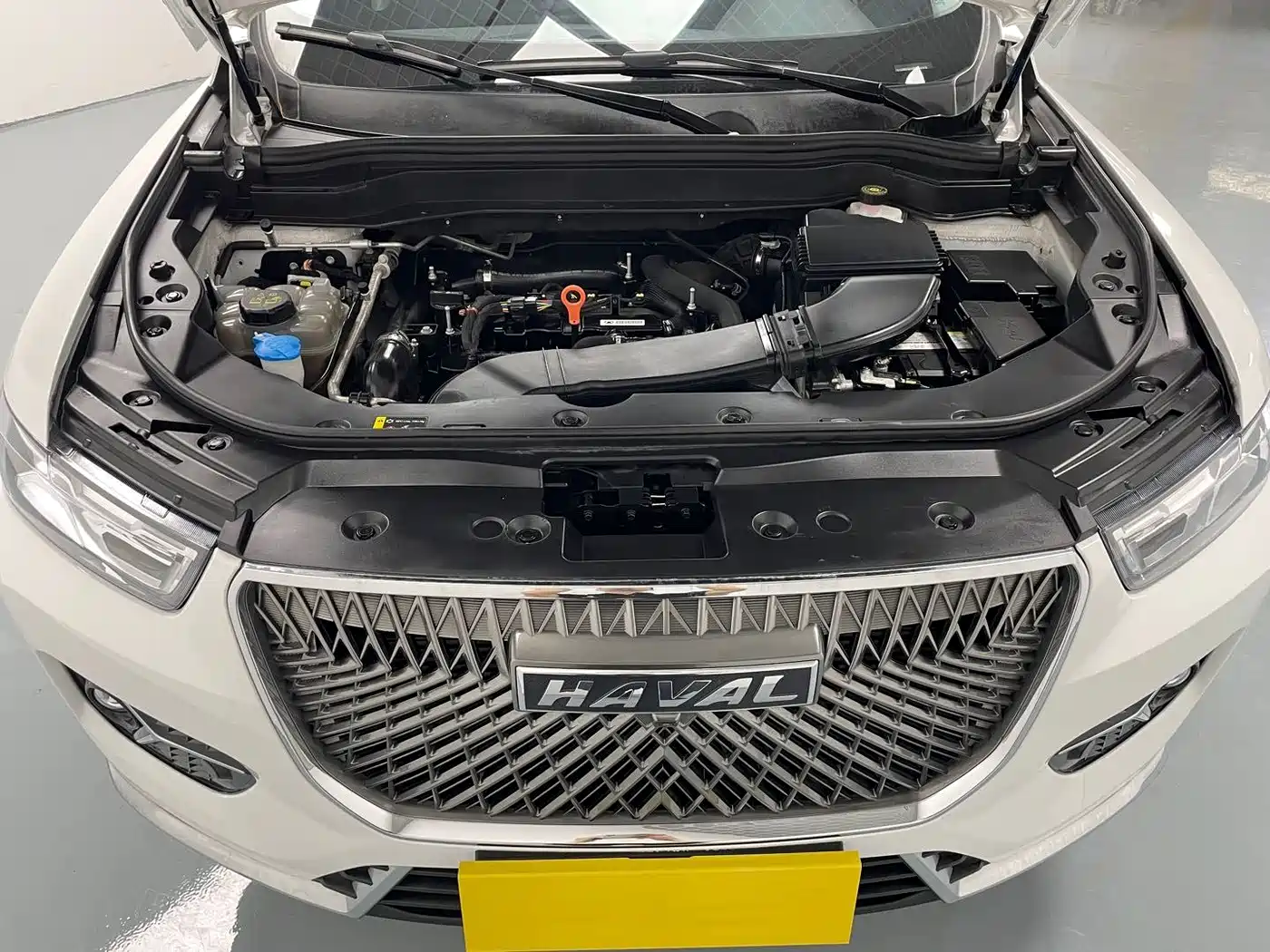 Haval H6 2021 1.5GDIT Automatic Champion Edition фото 9