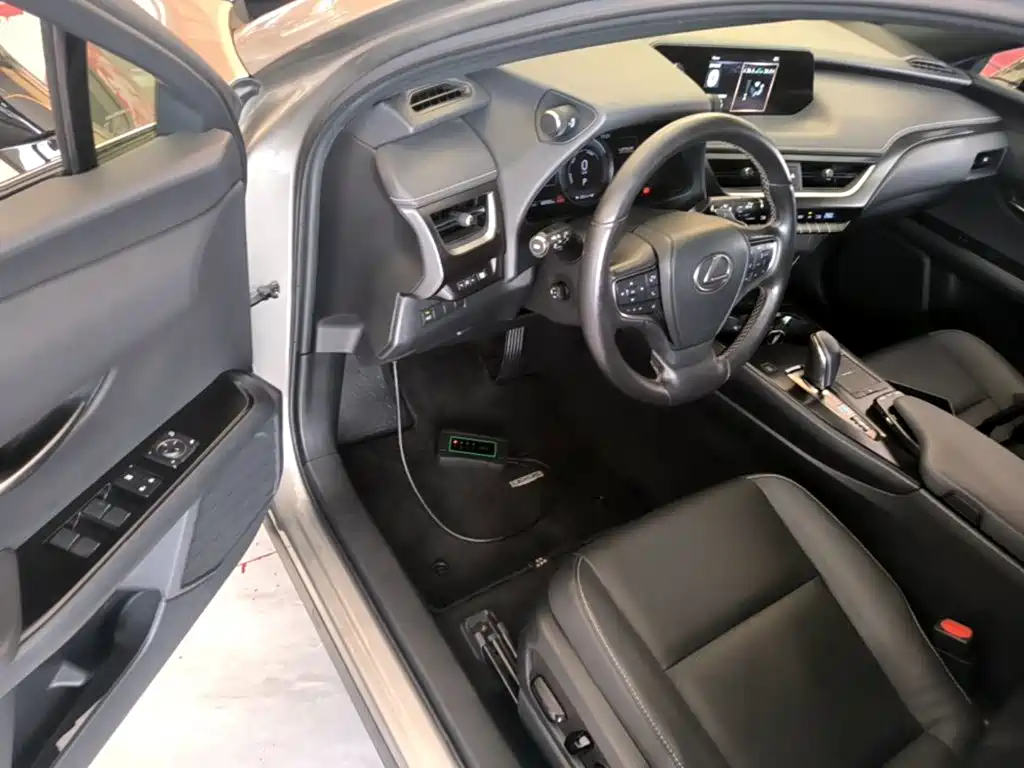 Lexus UX Electric 2022 2020 300e Pure Yue Edition