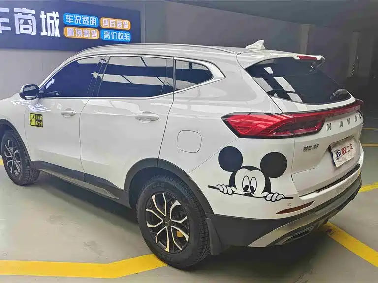 HAVAL H6