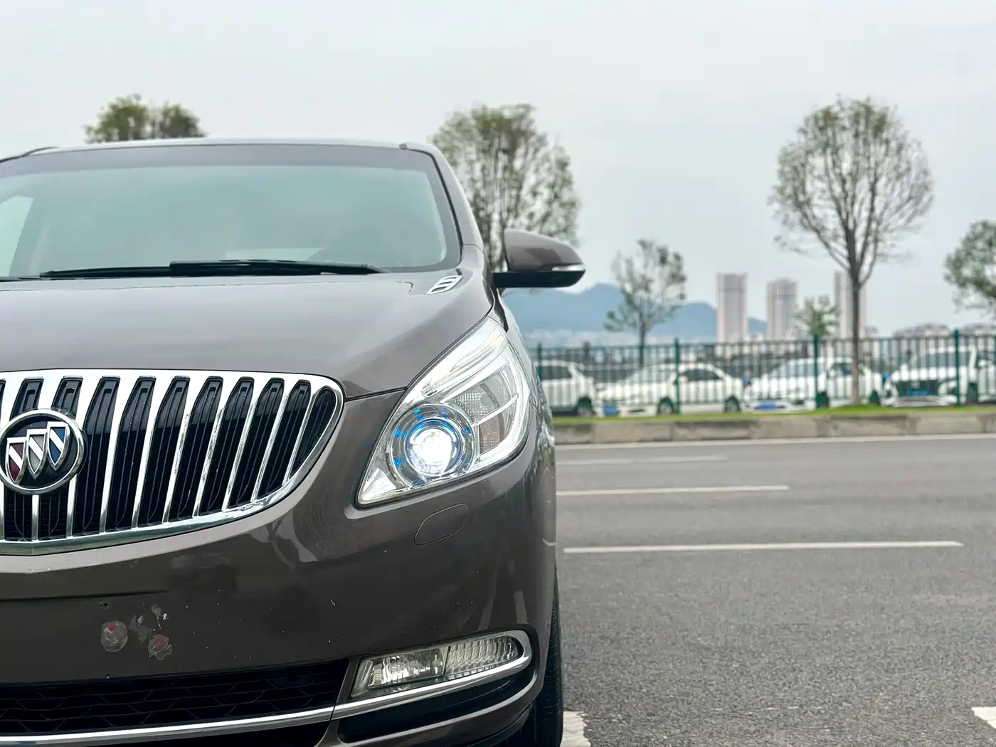 Buick GL8 2011 3.0L GT Luxury Business Elegance Edition фото 13