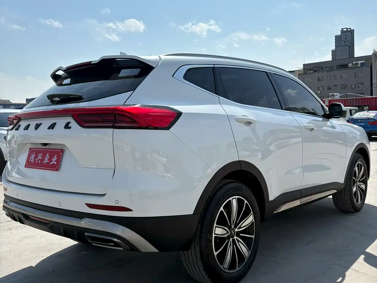 Haval H6 2023 National Trend Edition 1.5T Automatic Champion фото 9