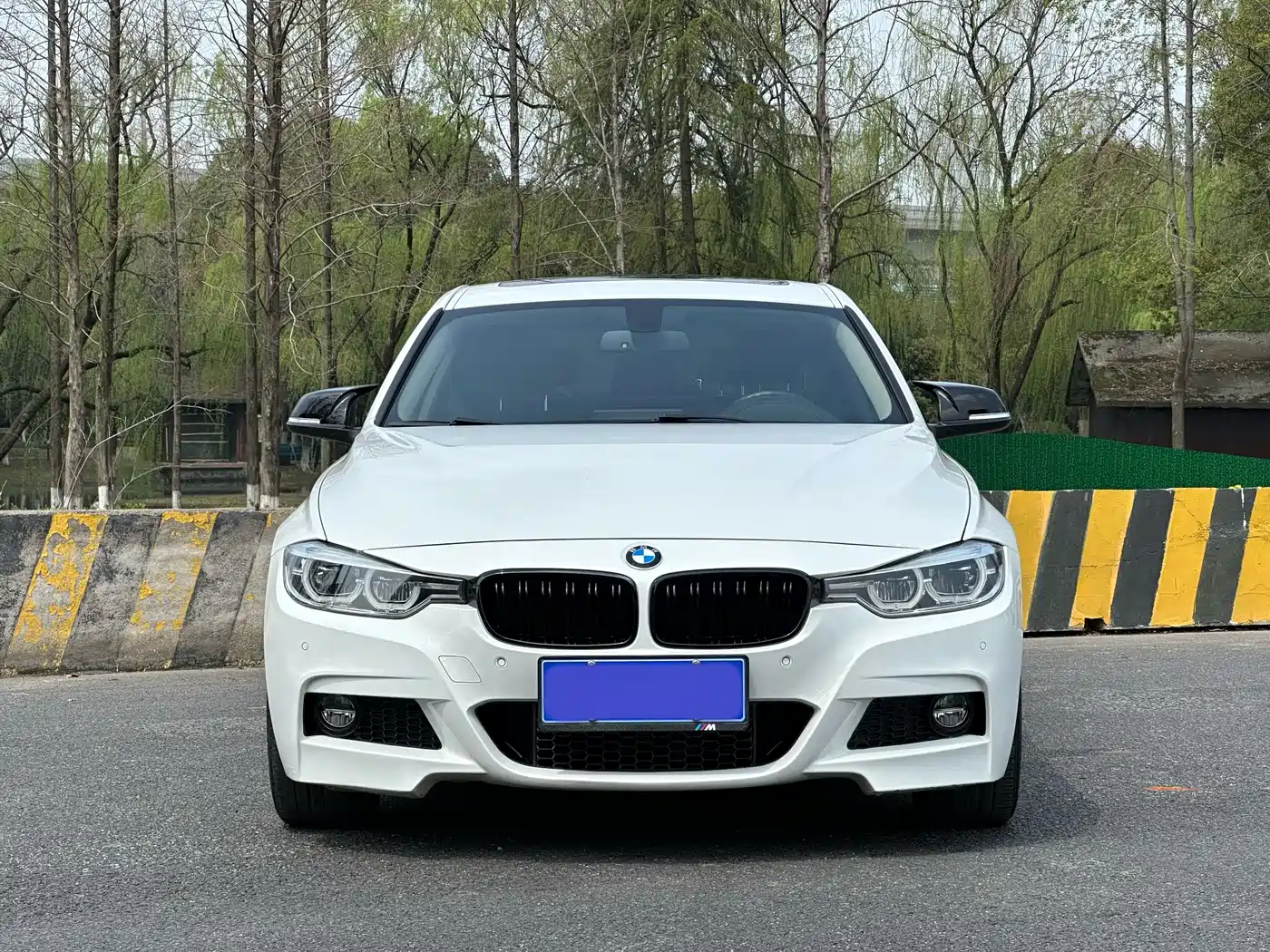 BMW 3 Series 2019 320Li M Luxury Package фото 2