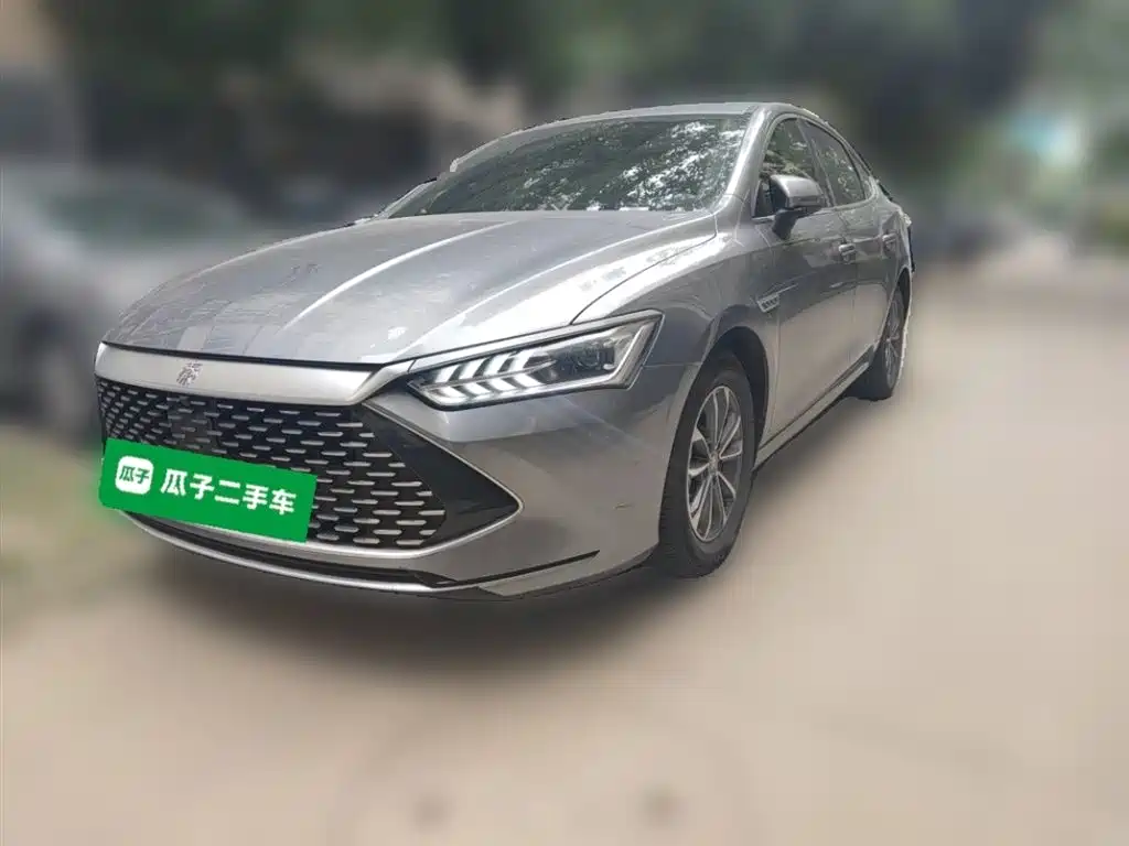 BYD Qin PLUS 2024 Glory Edition DM-i 55KM Leading