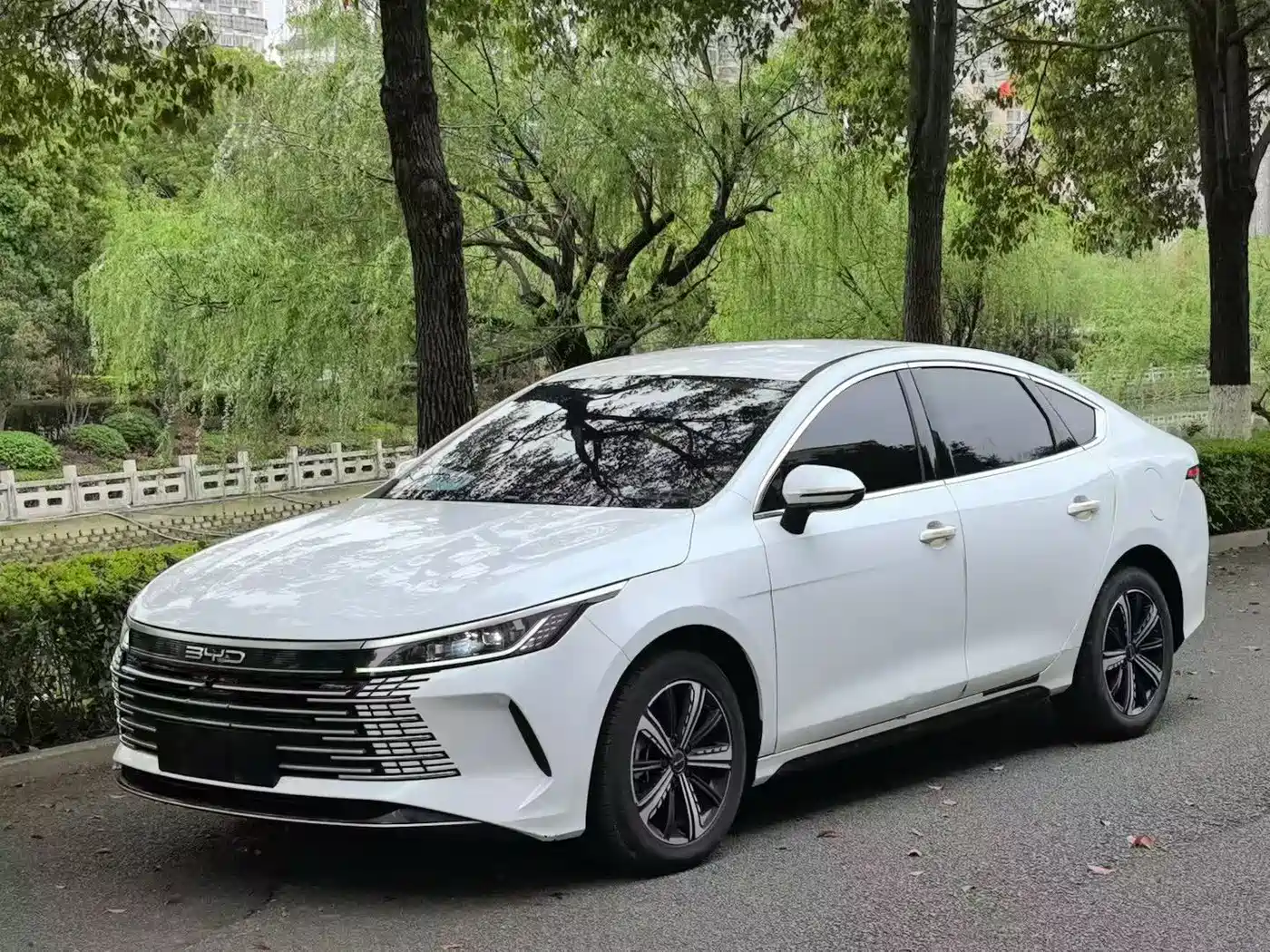 BYD Destroyer 05 2024 Glory Edition DM-i 120KM Luxury