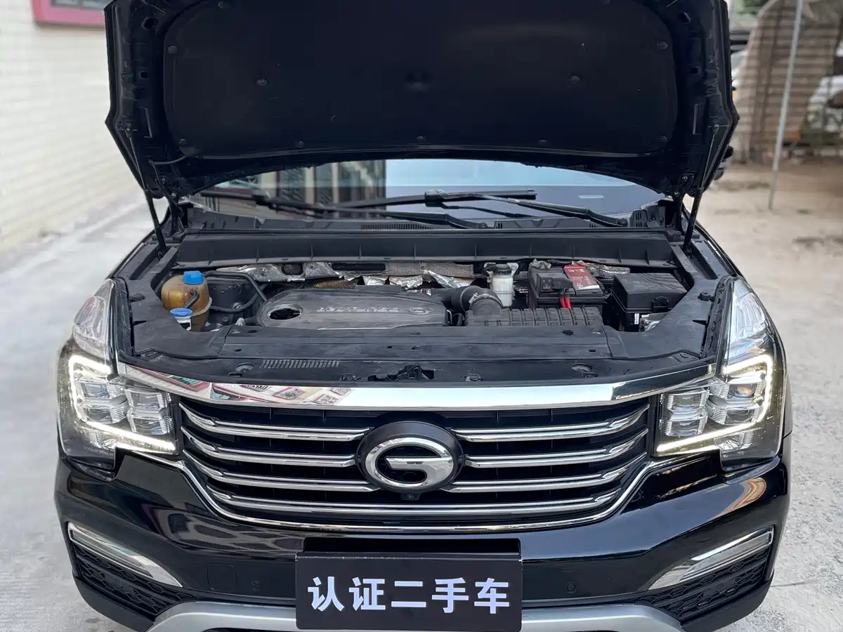 GAC Trumpchi Trumpchi GS8 2017 320T 2WD Luxury Smart Connect (7-seater) фото 12