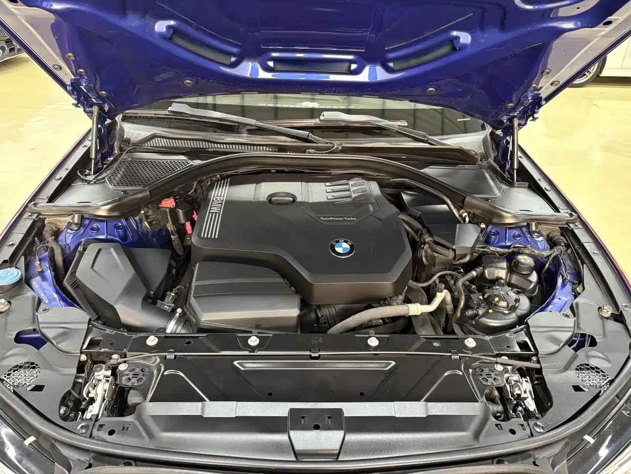 BMW 3 Series 2020 325i M Sport Black Night Package фото 23
