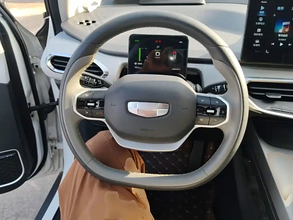 Geely Geometry C 2021 2020 Preferred Range Edition 400KM C+ Pro