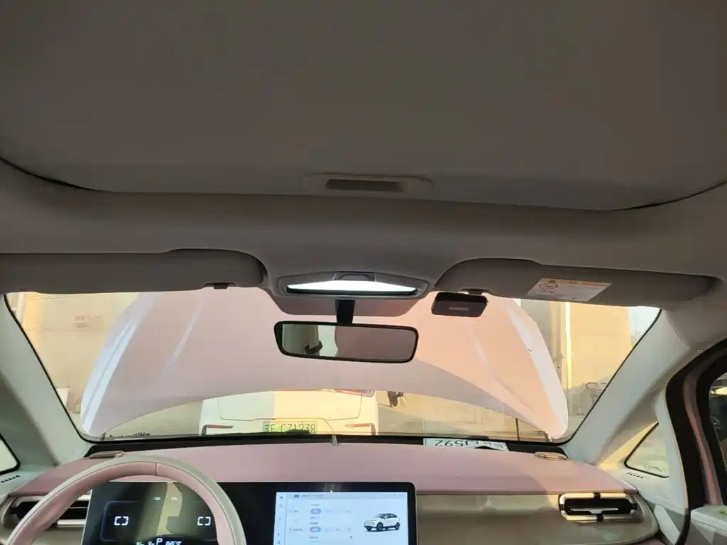 Geely Geometry E Firefly 2024 2024 Model 301km Starlight