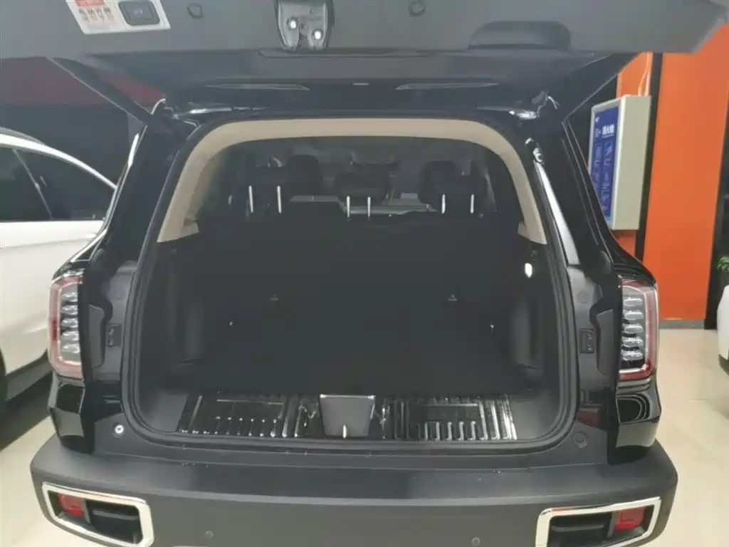 Haval Big Dog 2022 1.5T DCT FWD Border Collie Edition фото 19