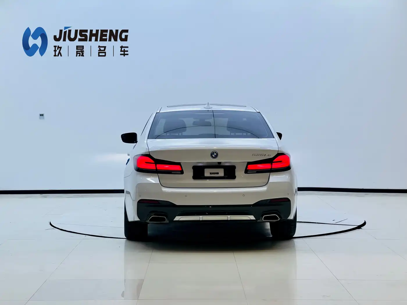 BMW 5 SERIES NEW ENERGY