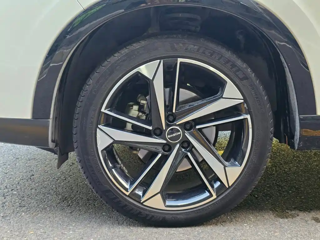 Roewe RX5 MAX 2023 2022 1.5T Auto Promising Luxury Edition
