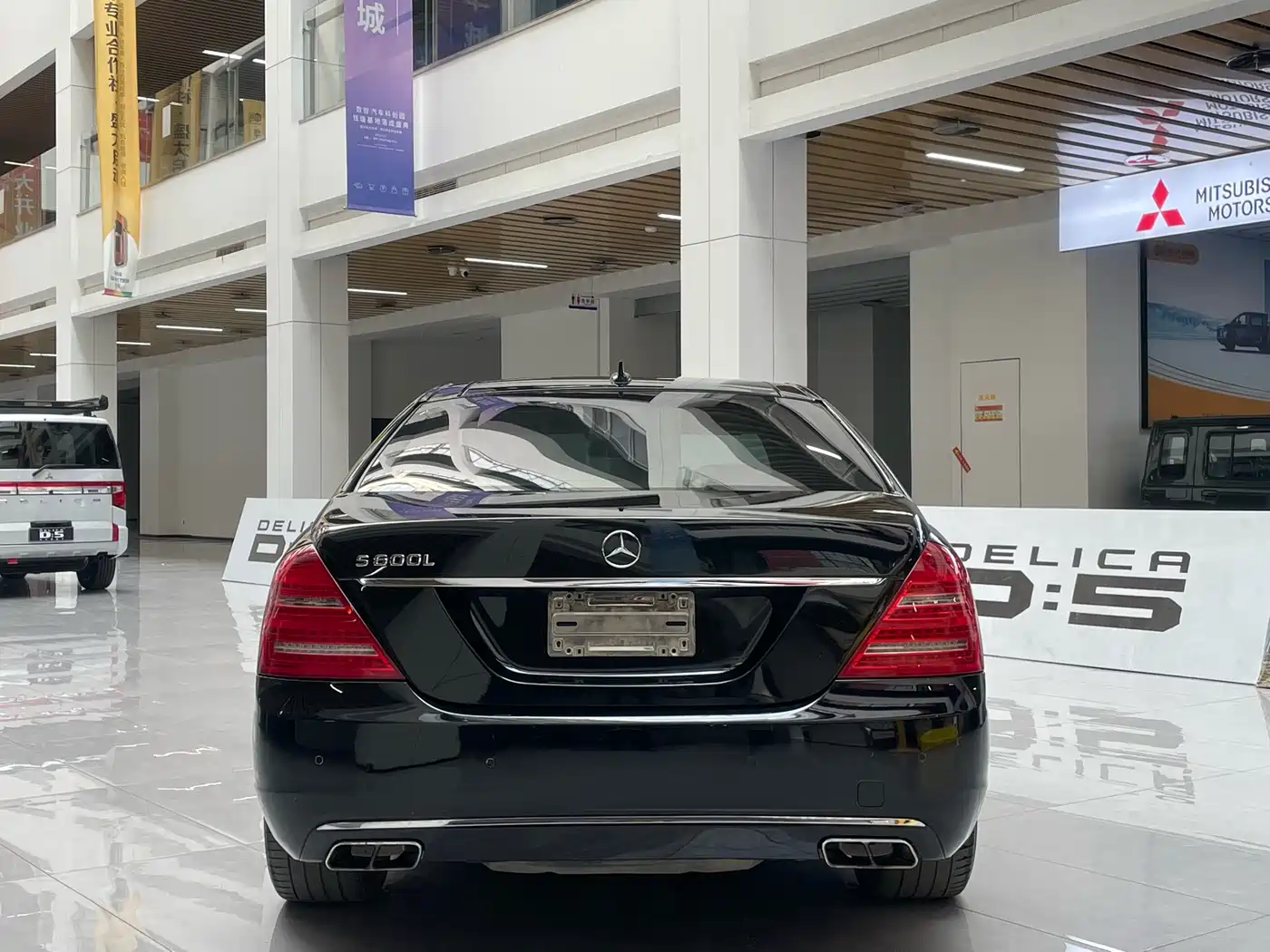 Mercedes-Benz S-Class 2010 S 600 L фото 3