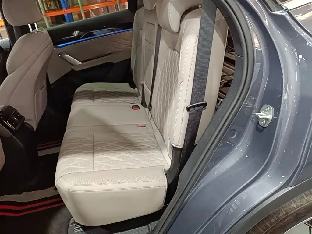 BYD Tang New Energy 2024 DM-i Glory Edition 112KM Deluxe фото 24