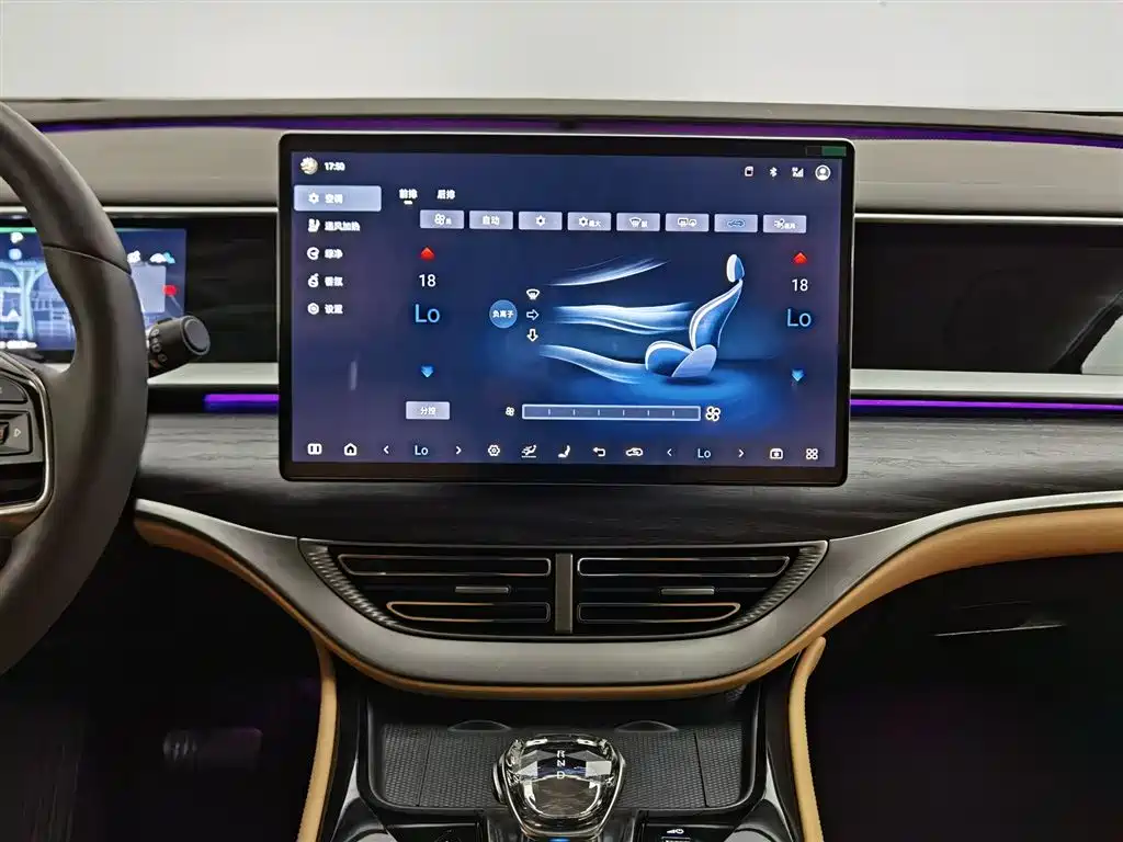 Denza D9 2024 DM-i 980 AWD Prestige фото 12