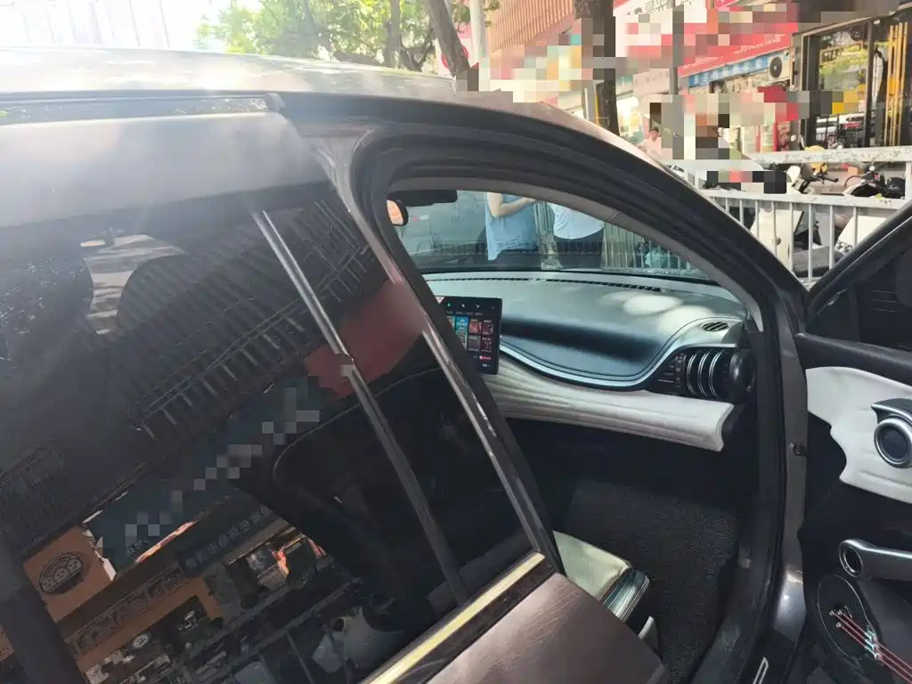 BYD Yuan PLUS 2022 2022 510KM Premium