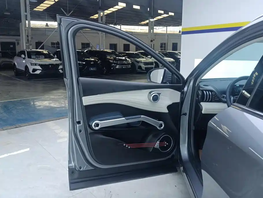 BYD Yuan PLUS 2022 2022 430KM Premium