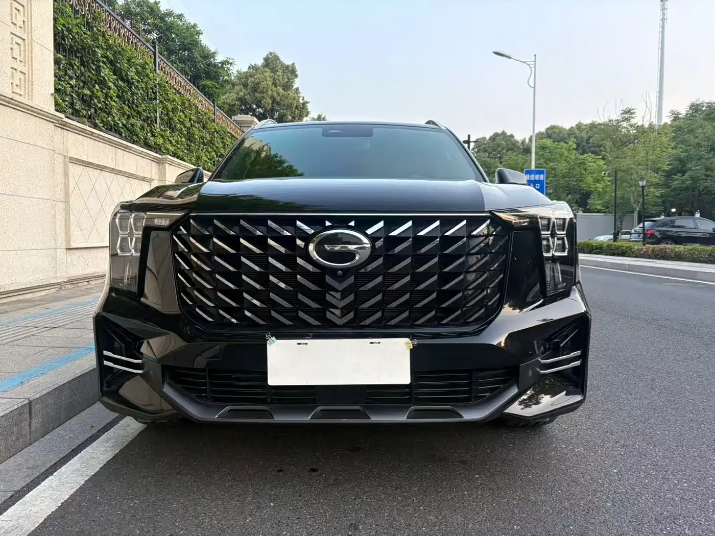 GAC Trumpchi Trumpchi GS8 2022 Pilot Series 2.0TGDI 2WD Luxury Smart Connect Edition (7-Seater) фото 2