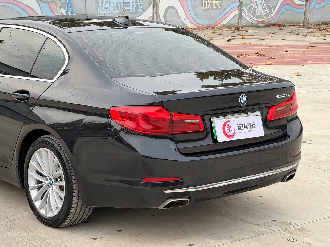 BMW 5 Series New Energy 2020 530Le Range Upgrade Luxury Package фото 23
