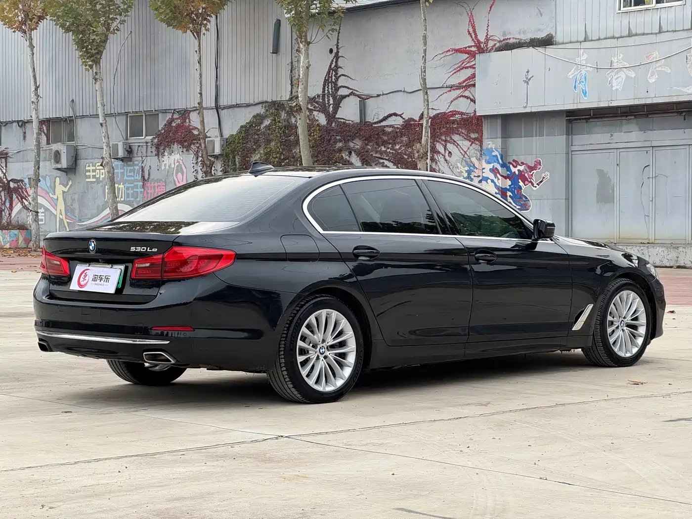 BMW 5 Series New Energy 2020 530Le Range Upgrade Luxury Package фото 22