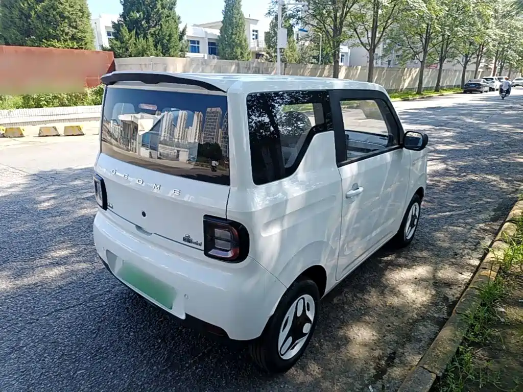 Geely Galaxy Panda 2026 2025 Panda mini 210km Vitality Bear