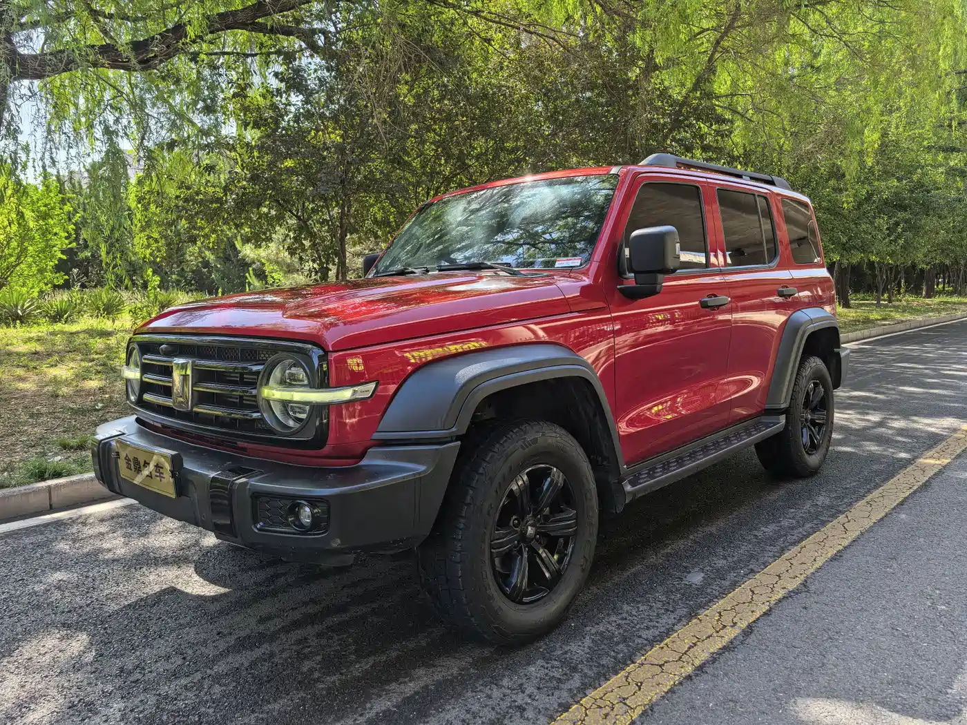Tank 300 2021 Off-road Version 2.0T Conqueror