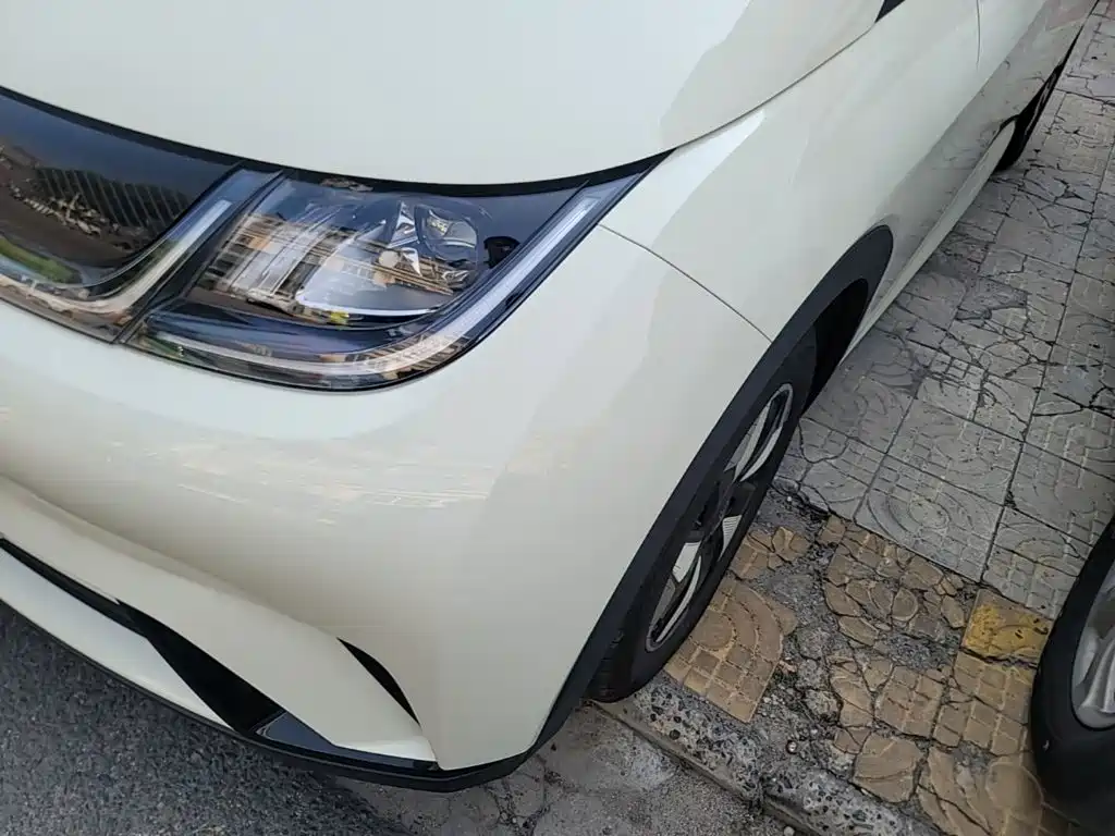 Фото 24 - BYD Dolphin